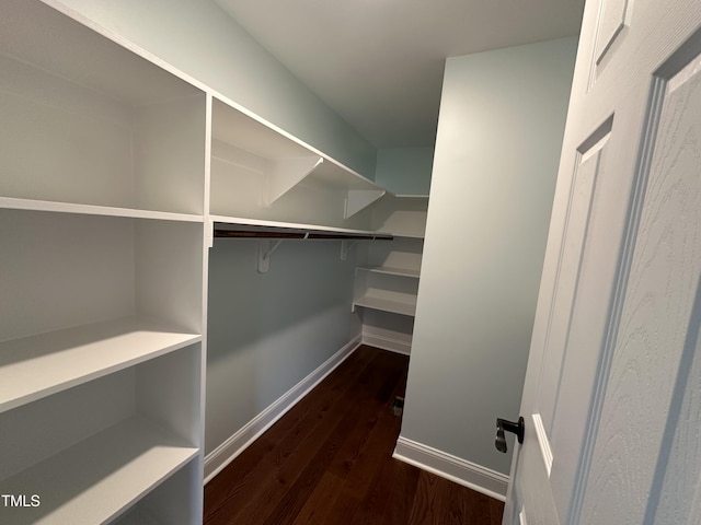 walk in closet featuring dark wood-type flooring