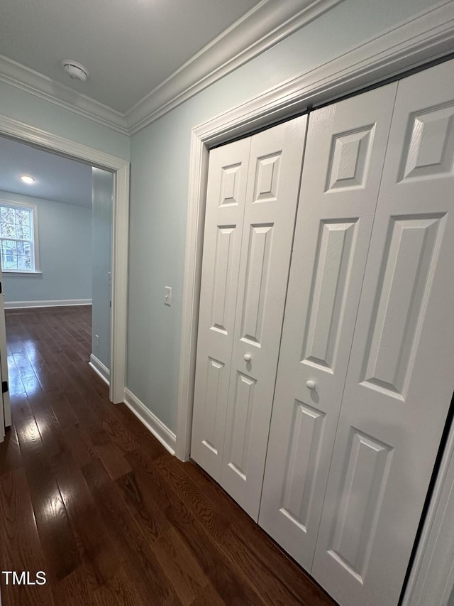 hallway featuring ornamental molding and dark wood-type flooring