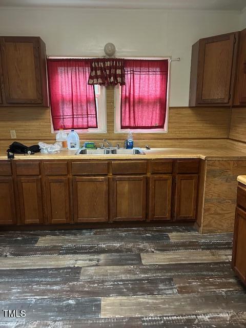 kitchen with dark hardwood / wood-style floors and sink