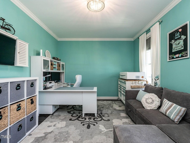 office area featuring carpet flooring and ornamental molding