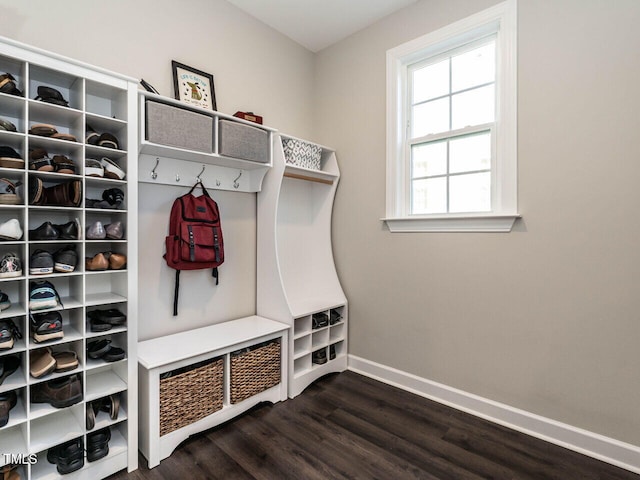 mudroom featuring dark hardwood / wood-style flooring