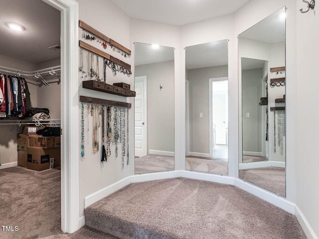 spacious closet featuring carpet floors