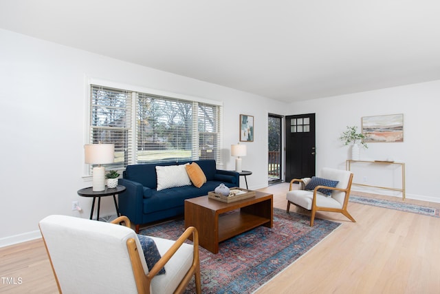 living room featuring wood-type flooring