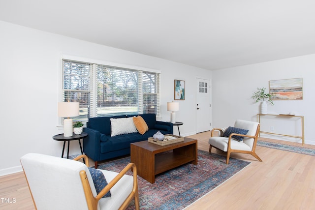 living room with hardwood / wood-style floors