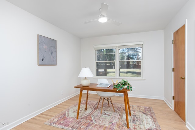 office space featuring ceiling fan and light wood-type flooring