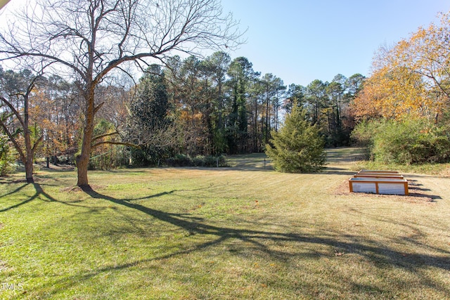 view of home's community with a yard