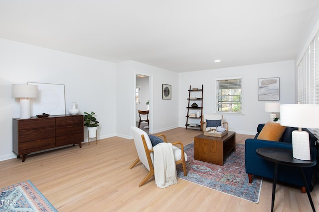 living room featuring light hardwood / wood-style floors