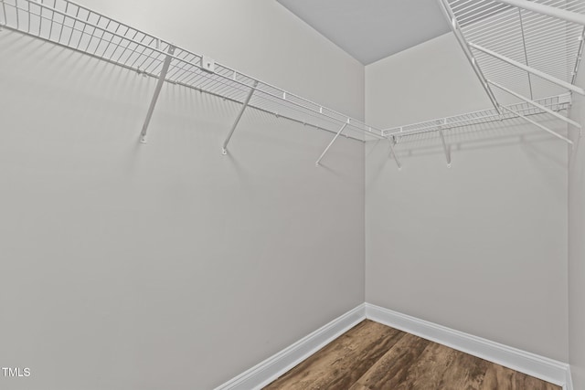 walk in closet featuring hardwood / wood-style flooring