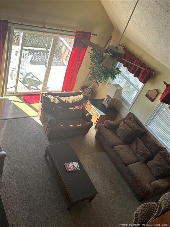 living room featuring carpet flooring and lofted ceiling