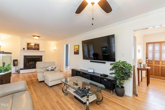 living room featuring light hardwood / wood-style floors, ceiling fan, and ornamental molding