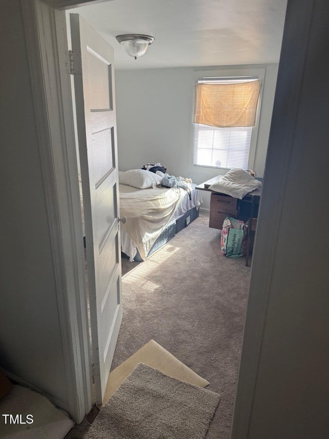 bedroom with carpet