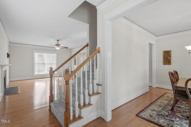 stairs featuring a fireplace with flush hearth, a ceiling fan, crown molding, and wood finished floors