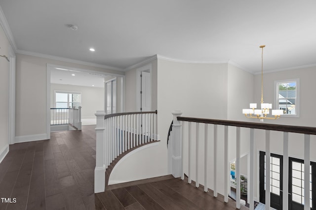 hallway with a wealth of natural light, dark hardwood / wood-style flooring, and ornamental molding