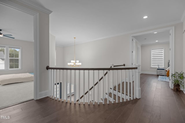 hallway featuring a notable chandelier, dark hardwood / wood-style flooring, and ornamental molding