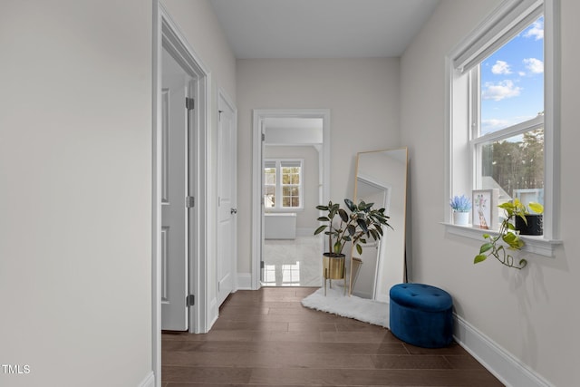 corridor featuring a wealth of natural light and dark wood-type flooring