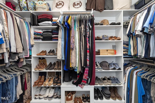 view of spacious closet