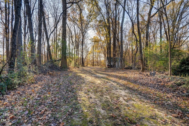 4027 Green Forest Ct, Rocky Mount, NC 27804 - view of yard