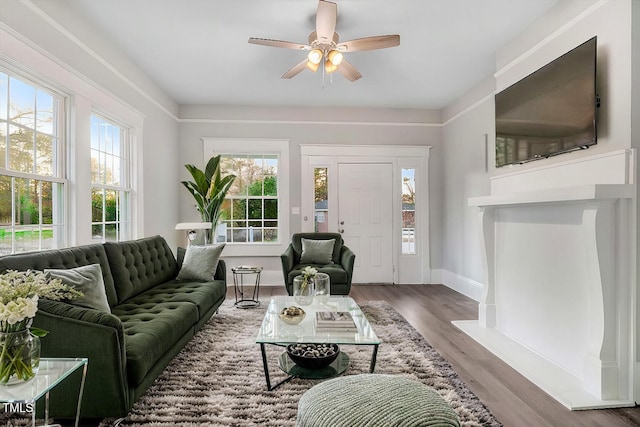 living room with ceiling fan, a healthy amount of sunlight, and dark hardwood / wood-style flooring