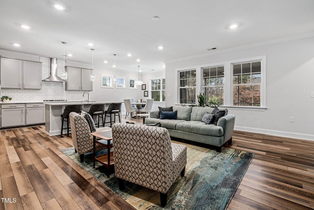 living room featuring crown molding, dark hardwood / wood-style flooring, and sink