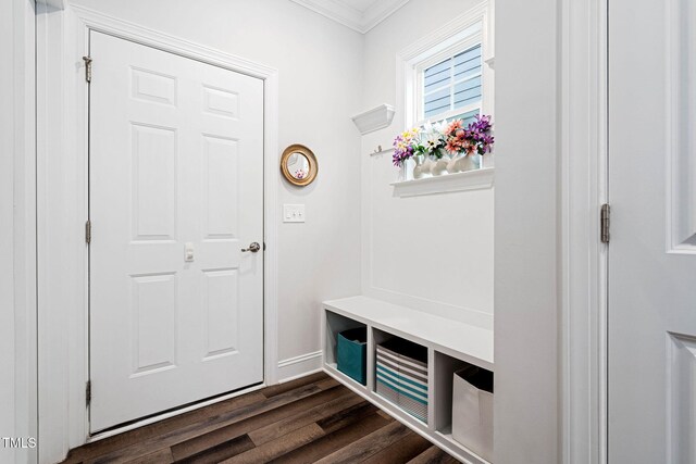 mudroom with dark hardwood / wood-style floors and ornamental molding