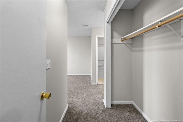 spacious closet with carpet