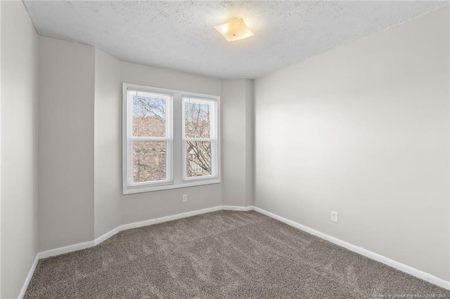 empty room featuring carpet and a textured ceiling