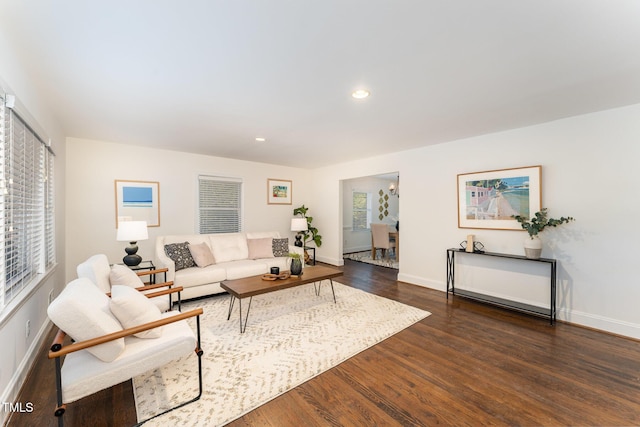 living room featuring dark wood-type flooring