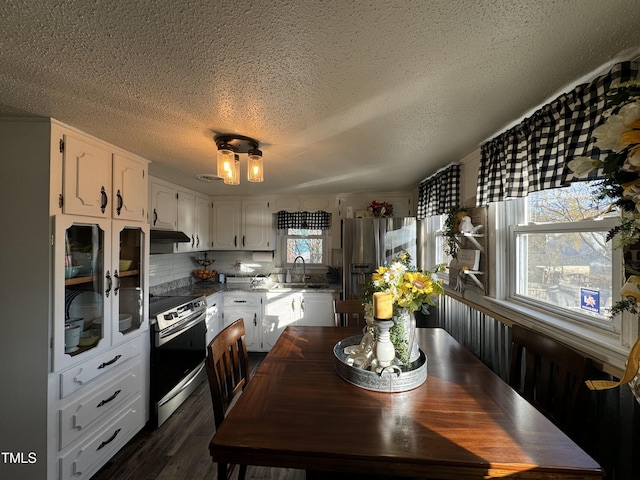 kitchen with a textured ceiling, stainless steel appliances, white cabinetry, and sink