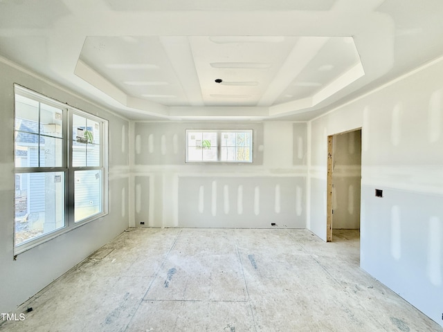 unfurnished room with a tray ceiling