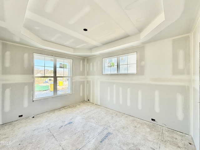 empty room featuring a tray ceiling and a wealth of natural light