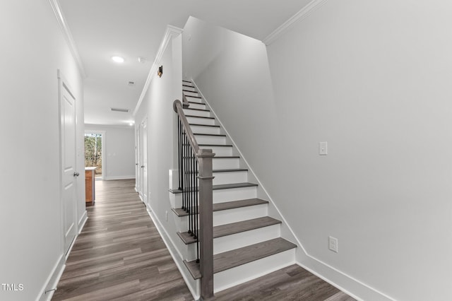 507 Excelsior Ct, Rolesville, NC 27587 - photo 13
