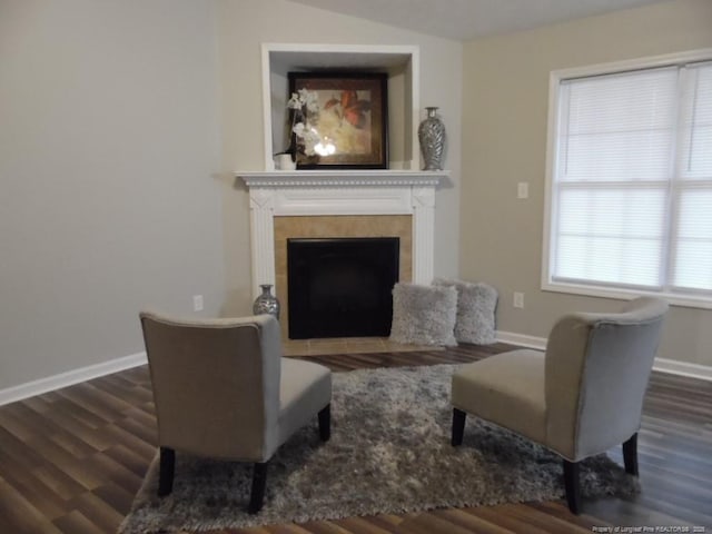 living room featuring a fireplace and dark hardwood / wood-style flooring