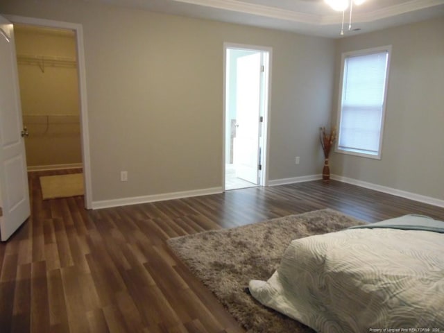 bedroom with a raised ceiling, a spacious closet, dark hardwood / wood-style flooring, and a closet