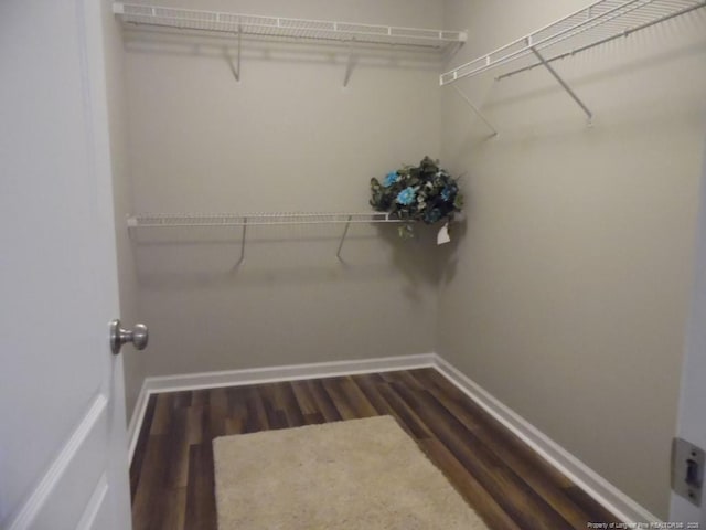 walk in closet with dark hardwood / wood-style floors