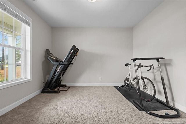 workout area with carpet flooring