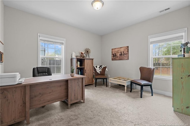 office space featuring plenty of natural light and carpet