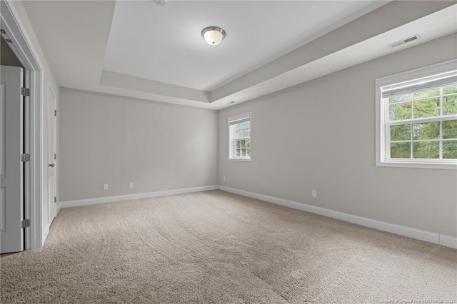 unfurnished bedroom with carpet flooring and a raised ceiling