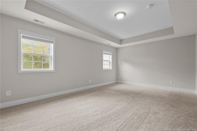 carpeted spare room featuring a tray ceiling and a wealth of natural light