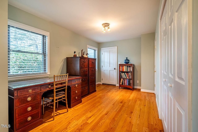 office with plenty of natural light and light hardwood / wood-style floors