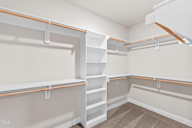 spacious closet with dark colored carpet