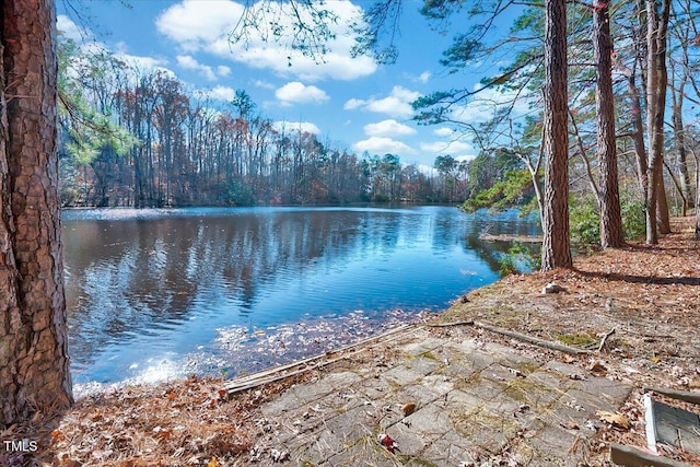 property view of water