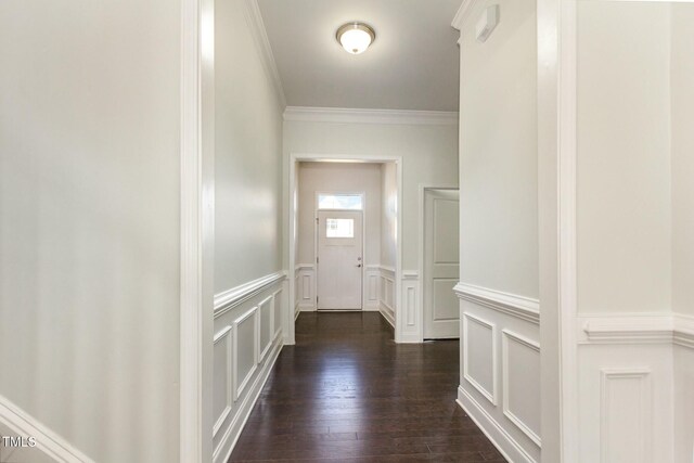 corridor featuring dark wood-style floors, a decorative wall, and ornamental molding