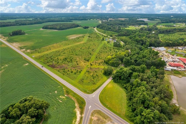 Wallace Mclean Rd, Raeford, NC 28376 - photo 1