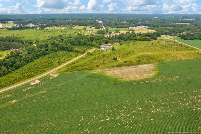 Wallace Mclean Rd, Raeford, NC 28376 - photo 6
