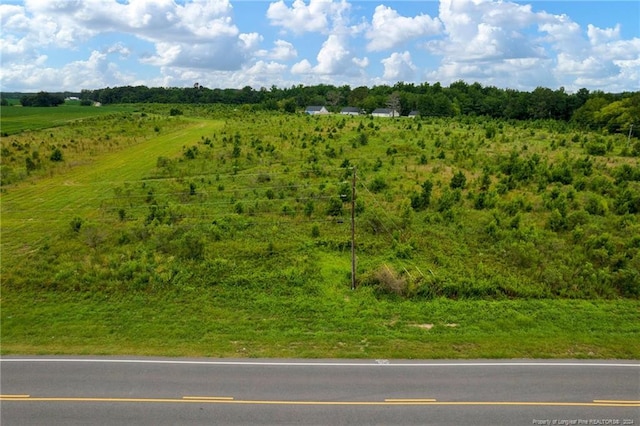 Wallace Mclean Rd, Raeford, NC 28376 - photo 9