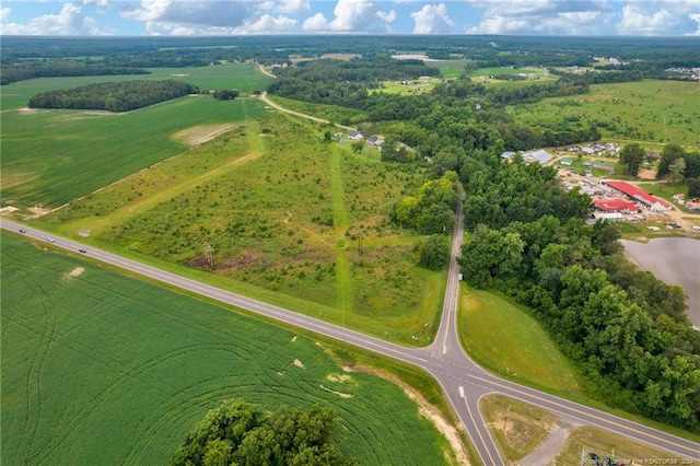 Wallace Mclean Rd, Raeford, NC 28376 - photo 10
