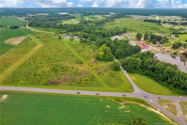 Wallace Mclean Rd, Raeford, NC 28376 - photo 11