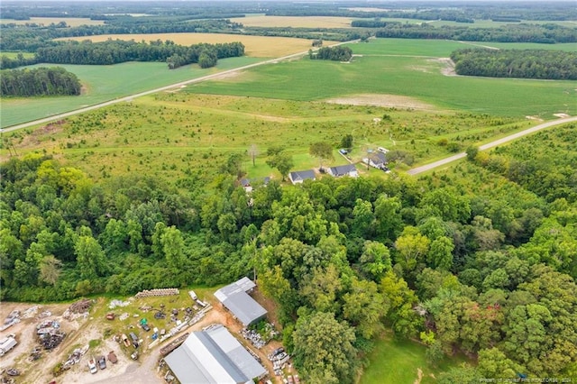 Wallace Mclean Rd, Raeford, NC 28376 - photo 14