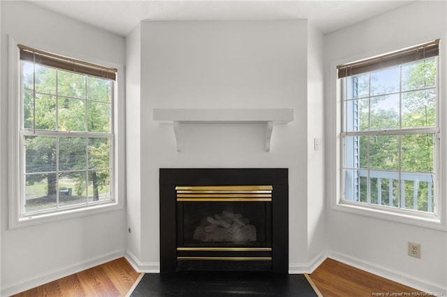 details with hardwood / wood-style flooring