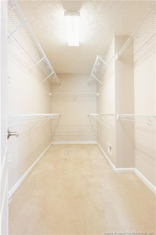 spacious closet featuring carpet flooring